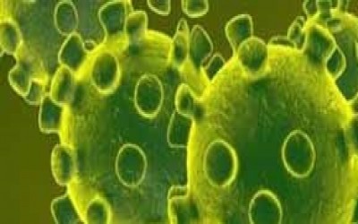 Cerdas Menghadapi Pandemi Virus Corona
